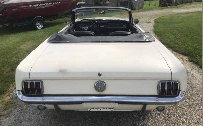 66 Mustang rear top down