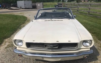 66 Mustang front hood top down